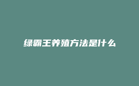 绿霸王养殖方法是什么