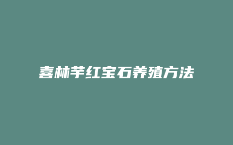 喜林芋红宝石养殖方法