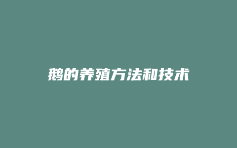 鹅的养殖方法和技术