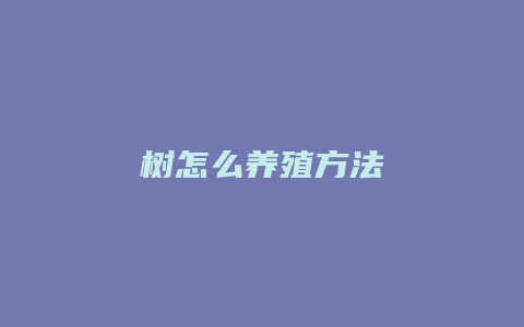 树怎么养殖方法