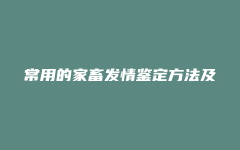 常用的家畜发情鉴定方法及优缺