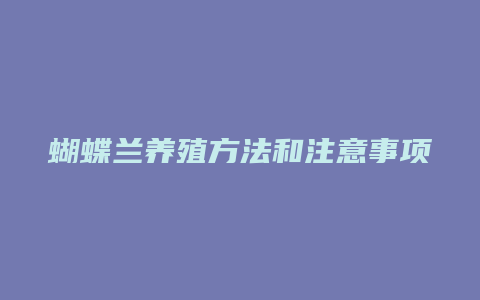 蝴蝶兰养殖方法和注意事项