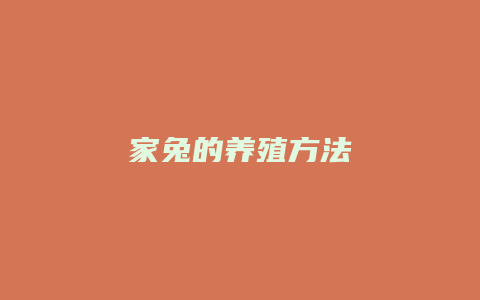 家兔的养殖方法