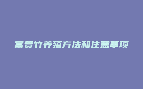 富贵竹养殖方法和注意事项