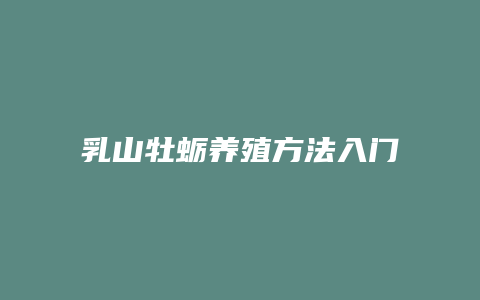 乳山牡蛎养殖方法入门