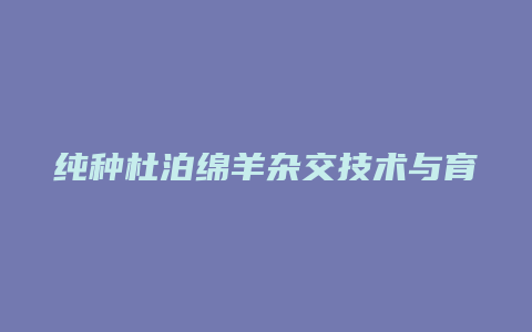 纯种杜泊绵羊杂交技术与育种方法