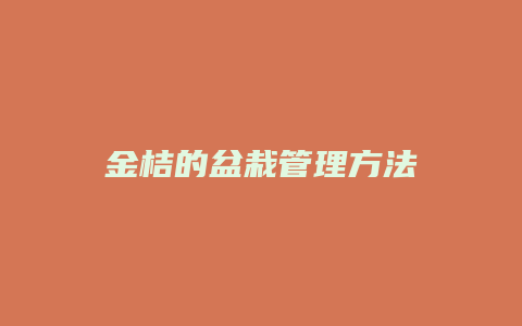 金桔的盆栽管理方法