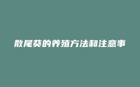 散尾葵的养殖方法和注意事项