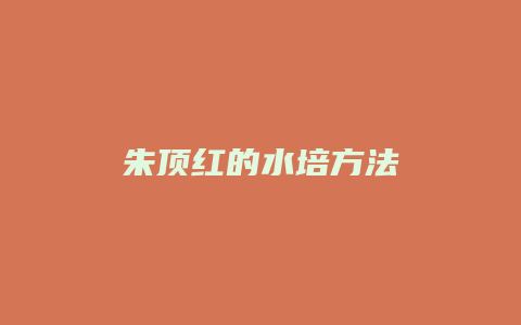 朱顶红的水培方法