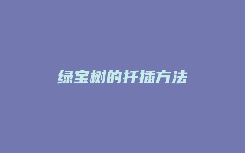 绿宝树的扦插方法