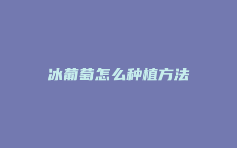 冰葡萄怎么种植方法