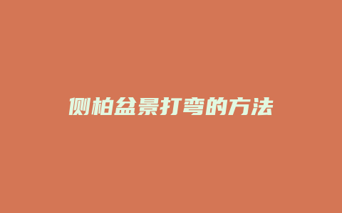 侧柏盆景打弯的方法