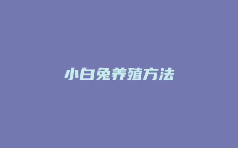 小白兔养殖方法