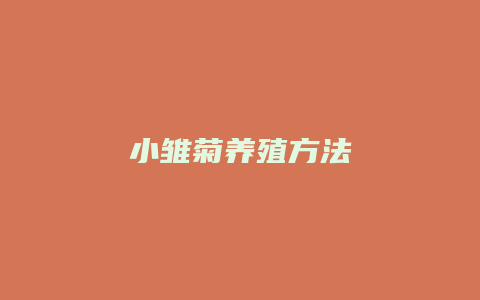 小雏菊养殖方法