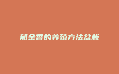 郁金香的养殖方法盆栽