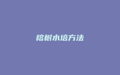 榕树水培方法