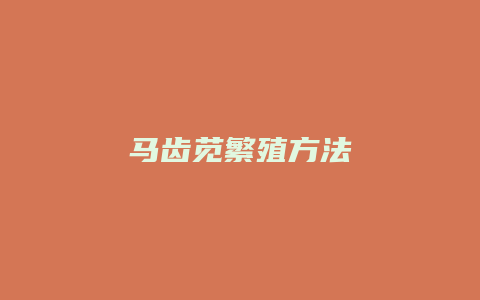 马齿苋繁殖方法