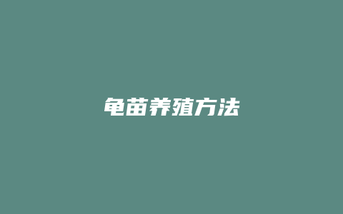 龟苗养殖方法