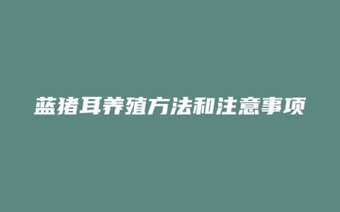 蓝猪耳养殖方法和注意事项