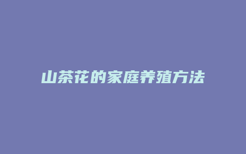 山茶花的家庭养殖方法