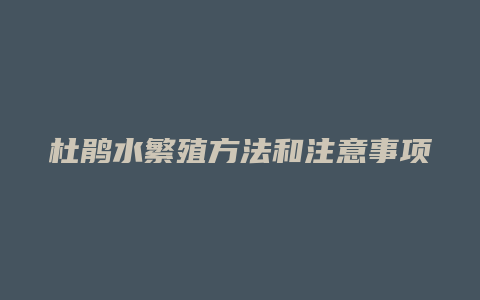 杜鹃水繁殖方法和注意事项