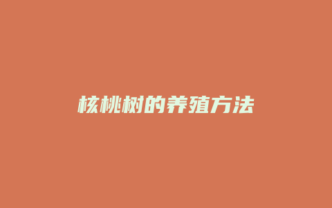 核桃树的养殖方法