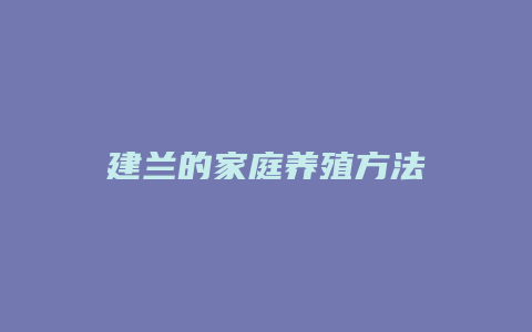 建兰的家庭养殖方法