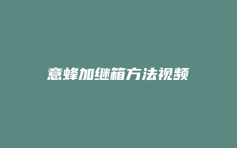 意蜂加继箱方法视频