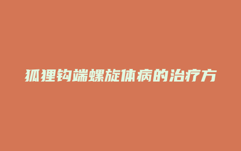 狐狸钩端螺旋体病的治疗方法