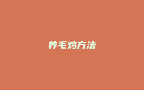 养毛鸡方法