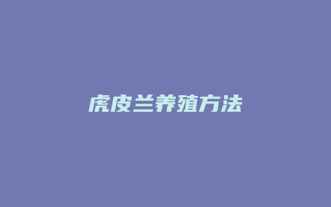 虎皮兰养殖方法