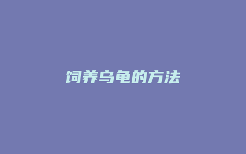 饲养乌龟的方法