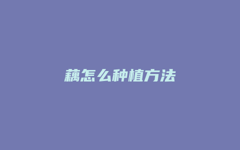 藕怎么种植方法