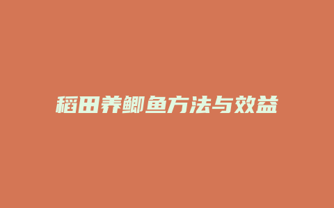 稻田养鲫鱼方法与效益