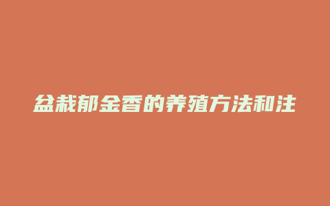 盆栽郁金香的养殖方法和注意事项