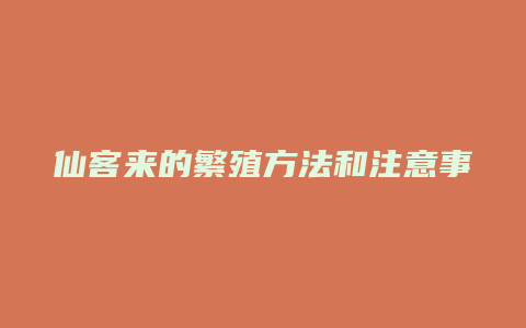 仙客来的繁殖方法和注意事项