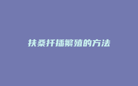 扶桑扦插繁殖的方法