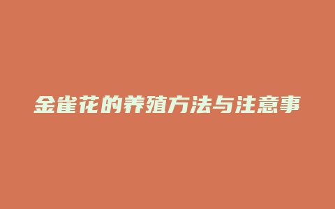 金雀花的养殖方法与注意事项