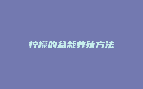 柠檬的盆栽养殖方法