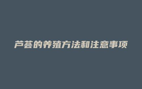 芦荟的养殖方法和注意事项大全