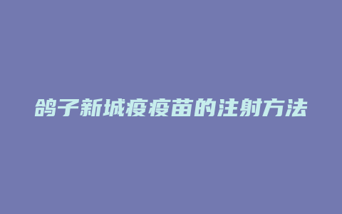 鸽子新城疫疫苗的注射方法