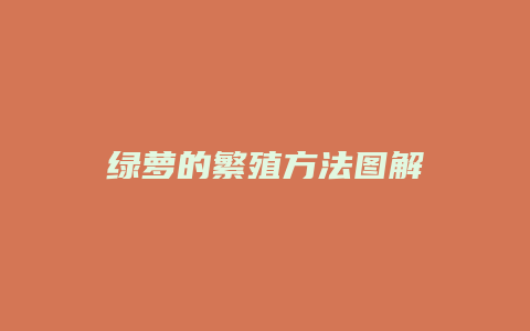 绿萝的繁殖方法图解