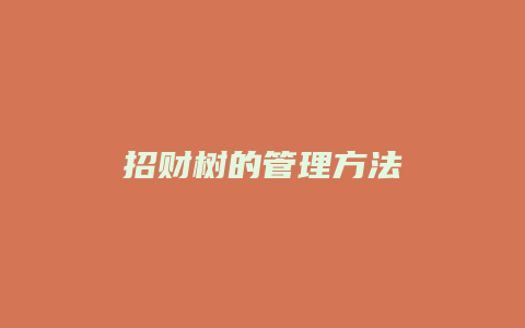 招财树的管理方法