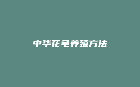 中华花龟养殖方法