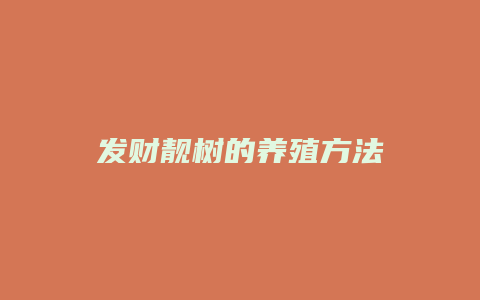 发财靓树的养殖方法