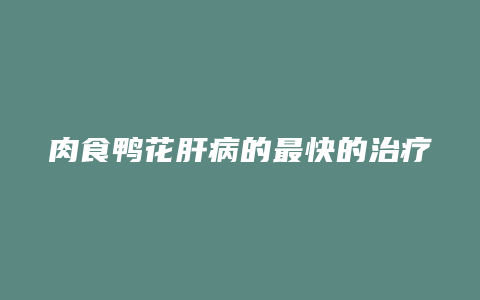 肉食鸭花肝病的最快的治疗方法