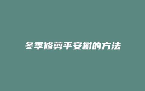 冬季修剪平安树的方法