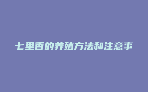 七里香的养殖方法和注意事项