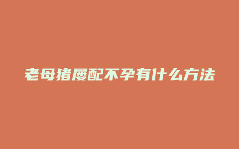 老母猪屡配不孕有什么方法解决