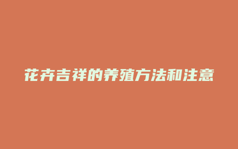 花卉吉祥的养殖方法和注意事项